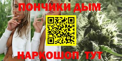 шишки Жуковский