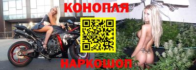 шишки Жуковский