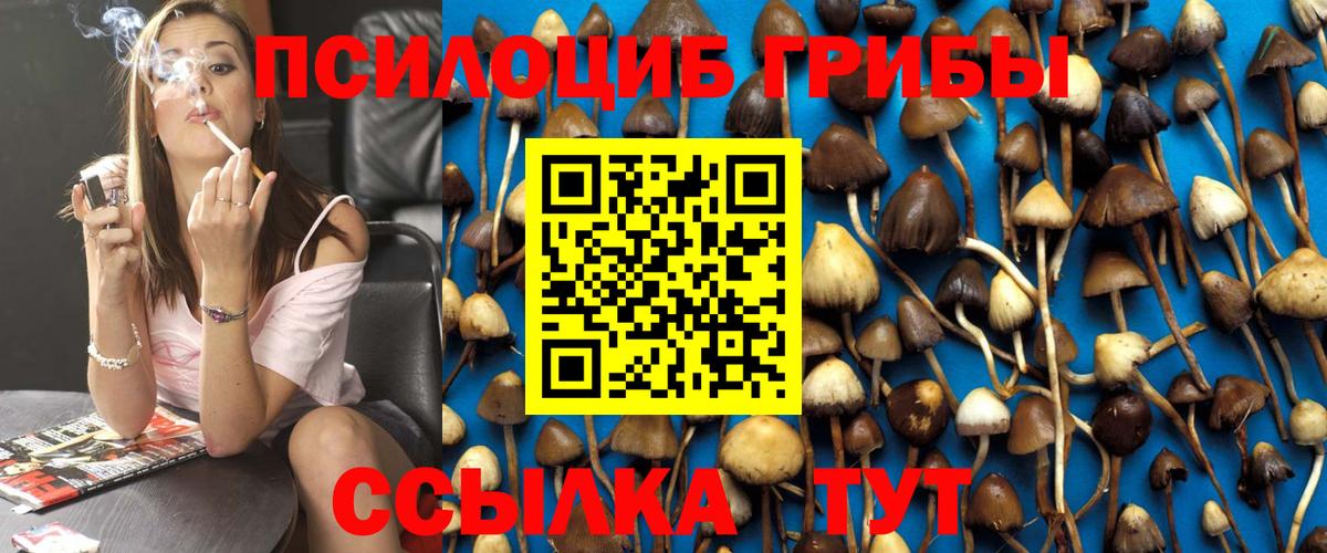 Коркино  Псилоцибиновые грибы прущие грибы  Вход с VPN 