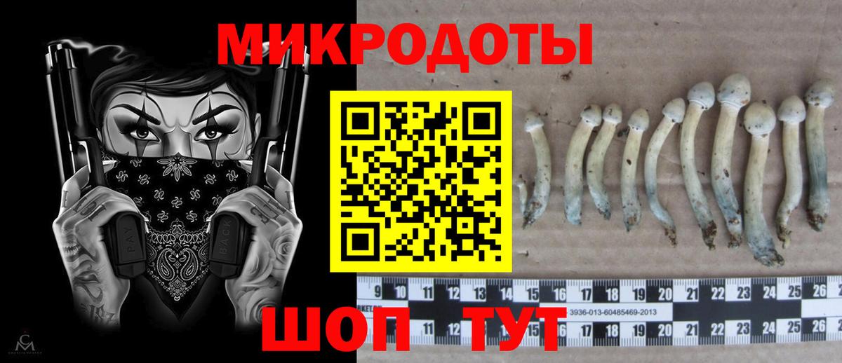 Псилоцибиновые грибы Magic Shrooms Коркино